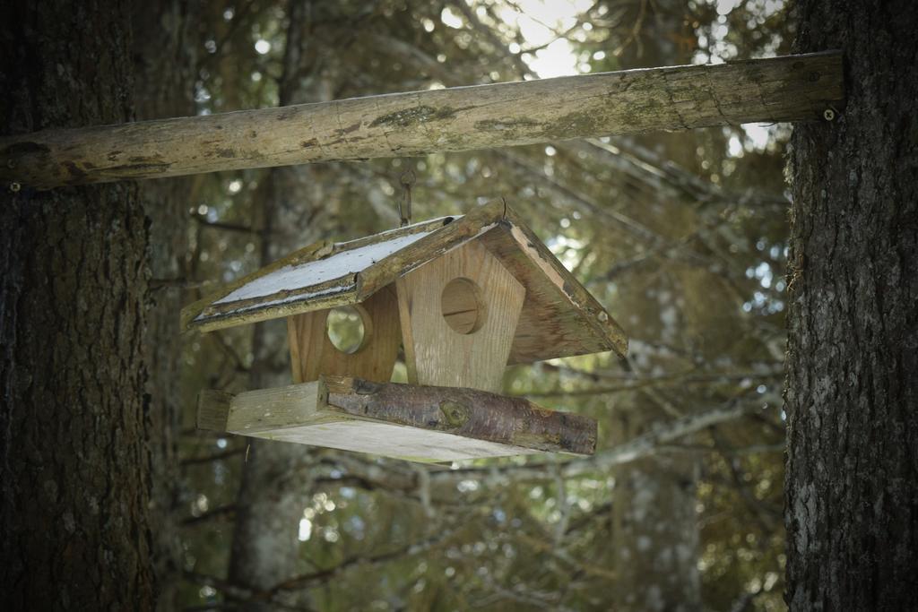 Chalet Pokljuka Горелєк Екстер'єр фото